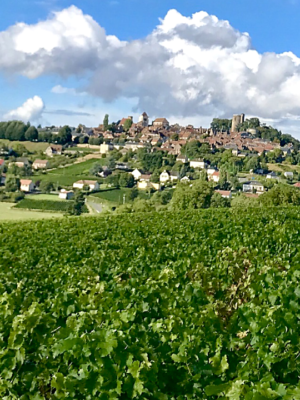 View vineyards sancerre