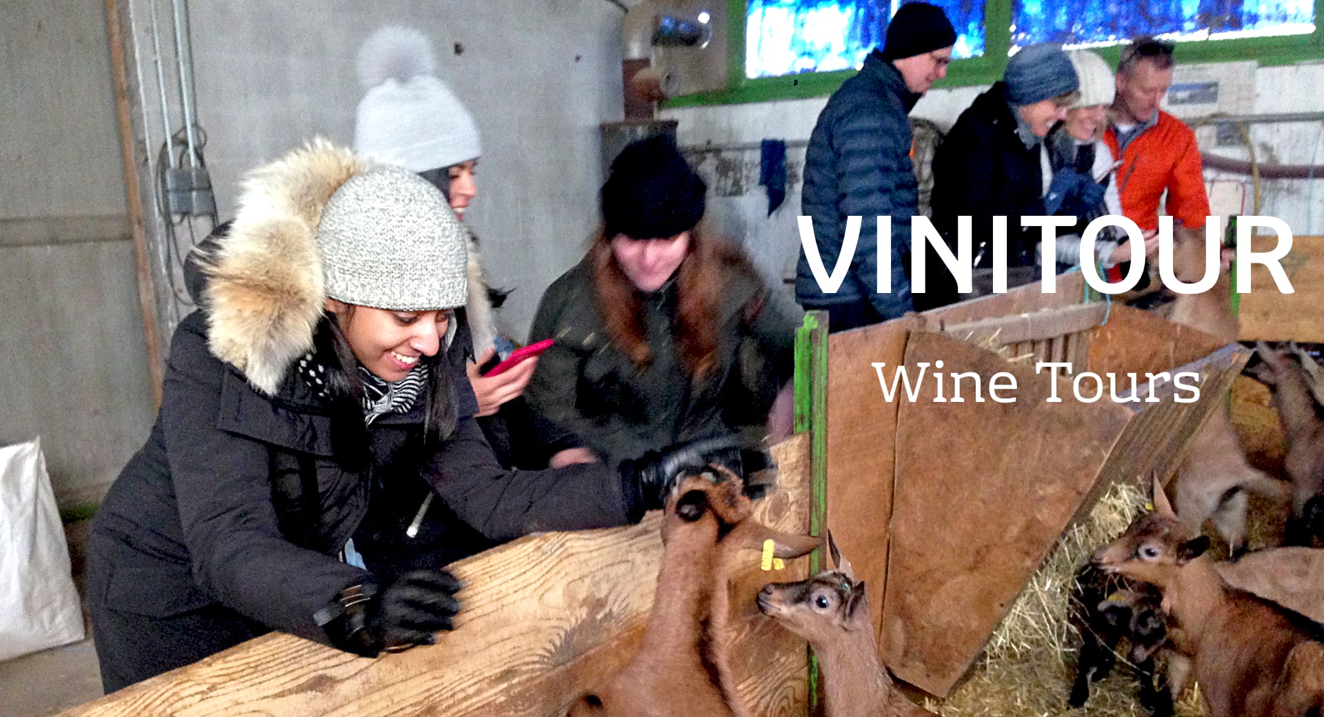 vinitour wine tours at the goats farm