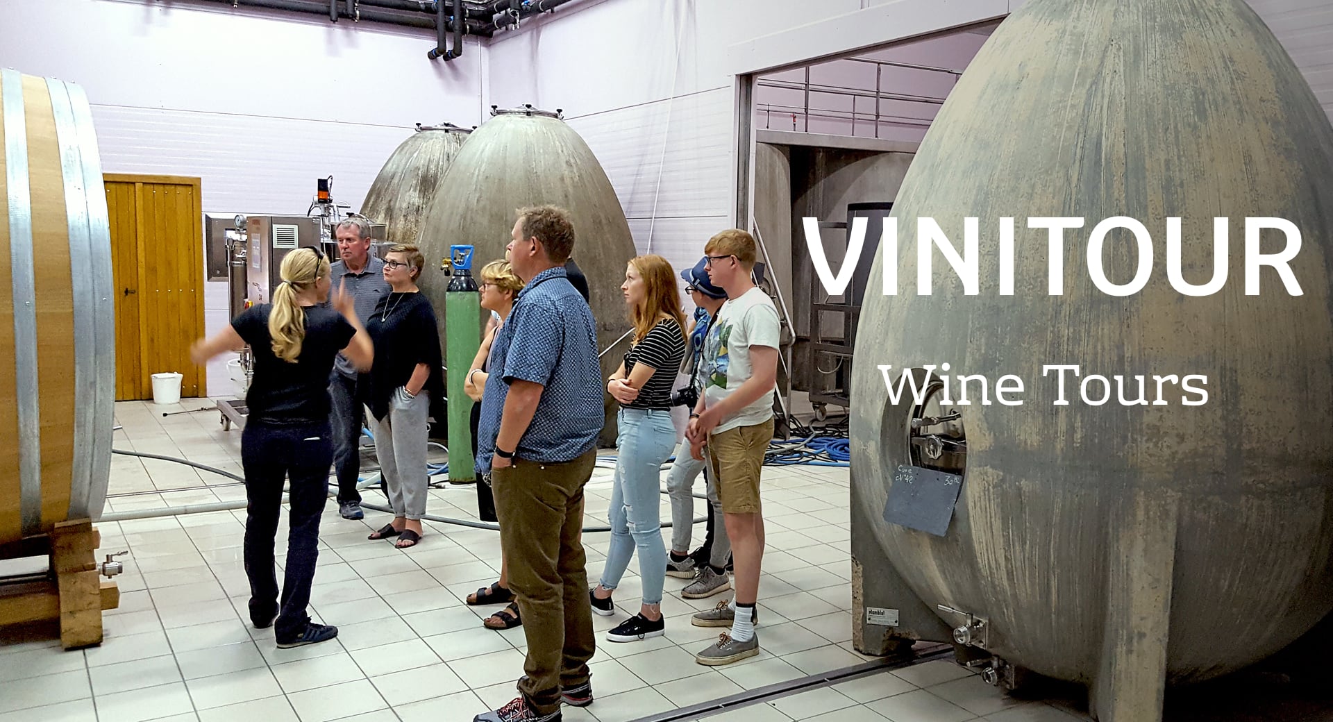 vinitour wine tours in the wine cellar