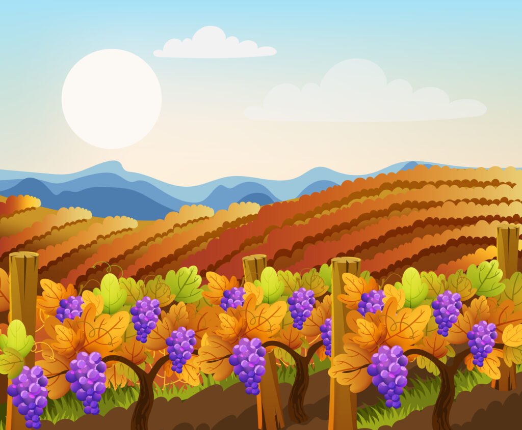 artistc wine landscape